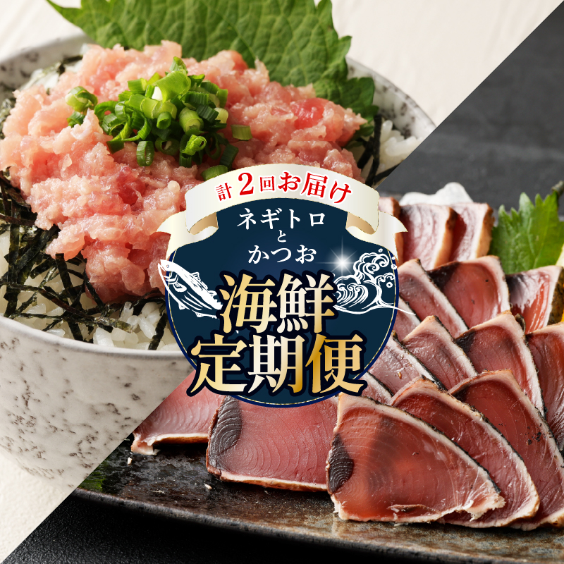 【 全2回定期便 】ネギトロ と カツオ の 定期便 海鮮 鮪 鰹 定期 セット まぐろ カツオのたたき ネギトロ 中トロ 刺身 海鮮 鰹 冷凍 魚 海産物 魚介類 高知県 まぐろたたき 鮪 藁焼き わら焼
