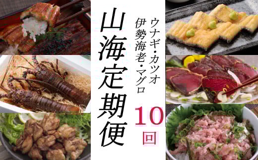 yj039徳さんオススメ山海【定期便10回】高知県室戸市258000魚介・海産物エビ