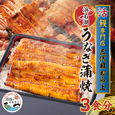 三代目むら上の職人手焼 浜名湖産鰻蒲焼120g(3枚) たれ・山椒付き【配送不可地域:離島】【1403763】静岡県湖西市40000魚介・海産物うなぎ