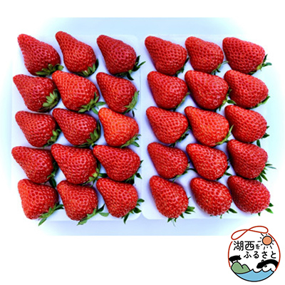 イチゴ 紅ほっぺ 450g×2p(1果重30g以上) ギフトに最適【配送不可地域:離島・北海道・沖縄・東北・中国・四国・九州】【1464218】静岡県湖西市15000果物・フルーツいちご