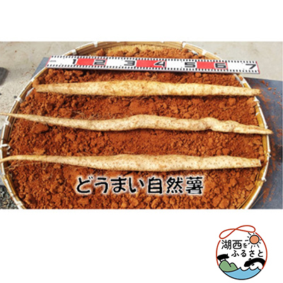 どうまい自然薯 500g位【1476061】静岡県湖西市13000野菜・きのこじゃがいも・イモ類