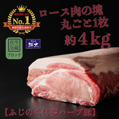ΐsYuh؁uӂ̂ɖn[u؁v[X(ubNE)4kg ^(①)yzsnFzy1495041zÉΐs67000ؓ