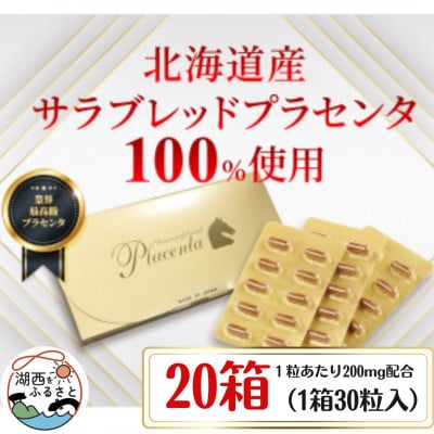 サラブレッドプラセンタ【20箱セット】(1箱30粒入)【1501445】静岡県湖西市282000鍋セット・総菜・加工食品その他 鍋セット・総菜・加工食品