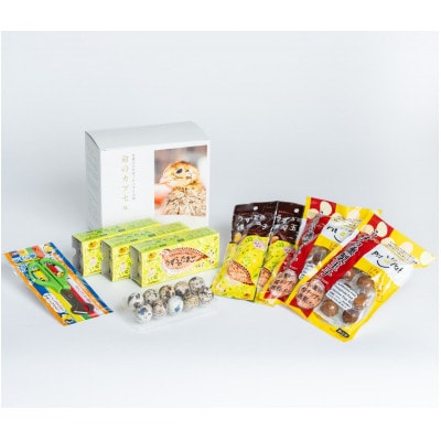 うずらぼっくす 命のカプセル〈うずら生卵・うずら燻製玉子2種・殻割ハサミ〉【配送不可地域:離島】【1508072】静岡県湖西市16000卵・乳製品卵(鶏、烏骨鶏等)