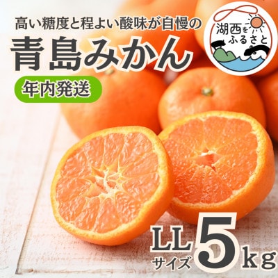 【年内発送】【12月中旬より順次出荷予定】青島みかん約5kg LLサイズ〔鈴木農園〕【1510094】静岡県湖西市18000果物・フルーツみかん・柑橘類