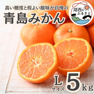 ystzy2026N1菇oח\z݂5kg LTCYkؔ_ly1510101zÉΐs16000ʕEt[c݂Ek