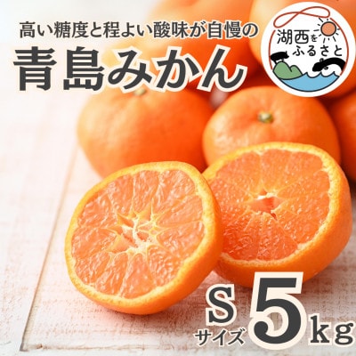 【先行受付】【2026年1月より順次出荷予定】青島みかん約5kg Sサイズ〔鈴木農園〕【1510103】静岡県湖西市16000果物・フルーツみかん・柑橘類