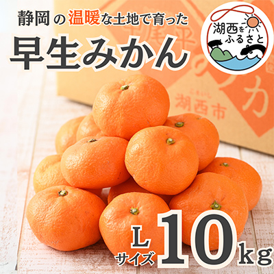 【先行受付】【11月上旬より順次出荷予定】早生みかん約10kg Lサイズ〔鈴木農園〕【1510108】静岡県湖西市25000果物・フルーツみかん・柑橘類