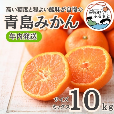 yNzy12{菇oח\z݂10kgTCY~bNXkؔ_ly1510113zÉΐs29000ʕEt[c݂Ek