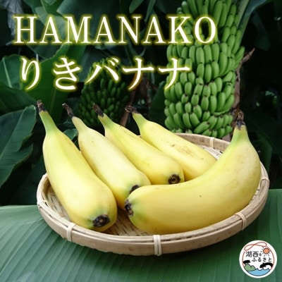 HAMANAKO@肫@oii  5{(e160~190g)yzsnFzy1525861zÉΐs24000ʕEt[c̑ ʕEt[c