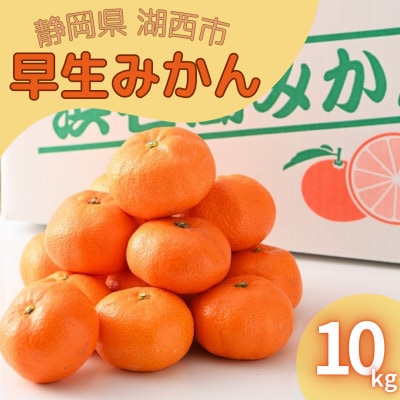 【2025年11月発送開始】浜名湖の「早生みかん」10kg【1537439】静岡県湖西市23000果物・フルーツみかん・柑橘類