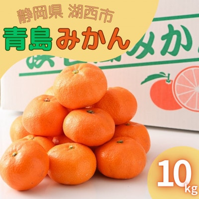 【2026年1月発送】浜名湖の「青島みかん」10kg【1537446】静岡県湖西市23000果物・フルーツみかん・柑橘類