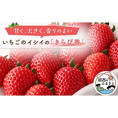 【静岡県産いちご】きらぴ香 280g×2パック【配送不可地域:離島・北海道・沖縄・東北・中国・四国・九州】【1561173】静岡県湖西市11000果物・フルーツいちご