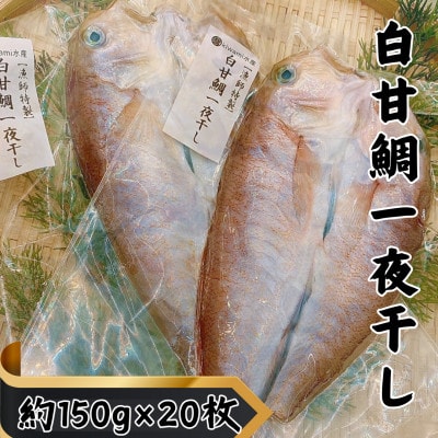 【遠州灘産】白甘鯛の一夜干し 約150g×20枚【配送不可地域:離島】【1587743】静岡県湖西市184000魚介・海産物干物