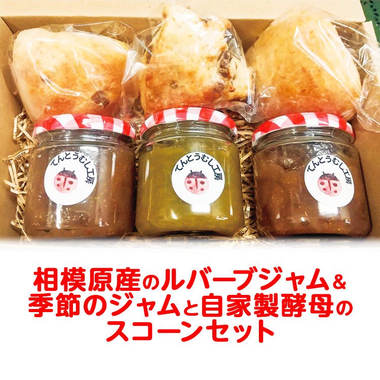 相模原産のルバーブジャム&季節のジャムと自家製酵母のスコーン3個セット神奈川県相模原市10000米・パンパン