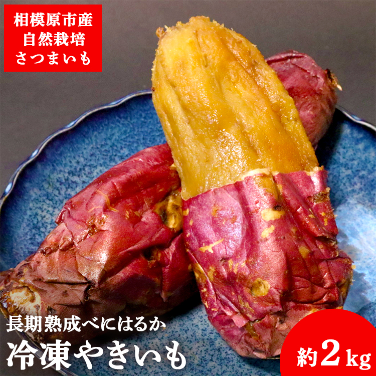R͔|@nׂɂ͂邩gpy܂łⓀ₫z2kg 2024N3{`7{ɏ\_ސ쌧͌s34000؁ÊႪEC
