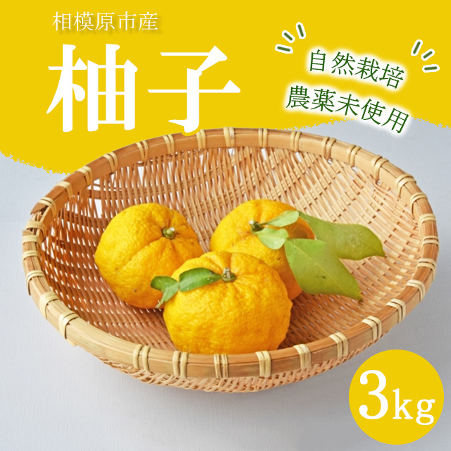 農薬不使用・自然栽培の柚子 ※2024年12月上旬〜12月下旬頃に順次発送予定神奈川県相模原市14000果物・フルーツみかん・柑橘類