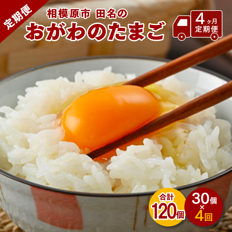 【4ヶ月定期便】相模原市田名のおがわのたまご ピンク卵 Mサイズ 30個(27個+割れ補償3個)×4か月| 卵 鶏卵 玉子 たまご 生卵 国産 濃厚 コク 旨味 旨み ※着日指定不可神奈川県相模原市17000