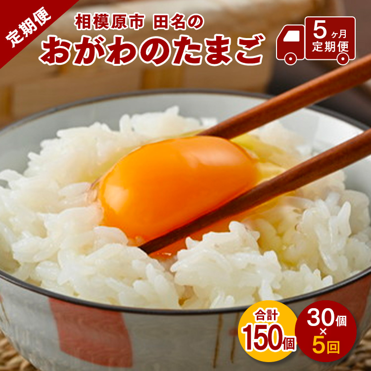 【5ヶ月定期便】相模原市田名のおがわのたまご ピンク卵 Mサイズ 30個(27個+割れ補償3個)×5か月| 卵 鶏卵 玉子 たまご 生卵 国産 濃厚 コク 旨味 旨み ※着日指定不可神奈川県相模原市21000