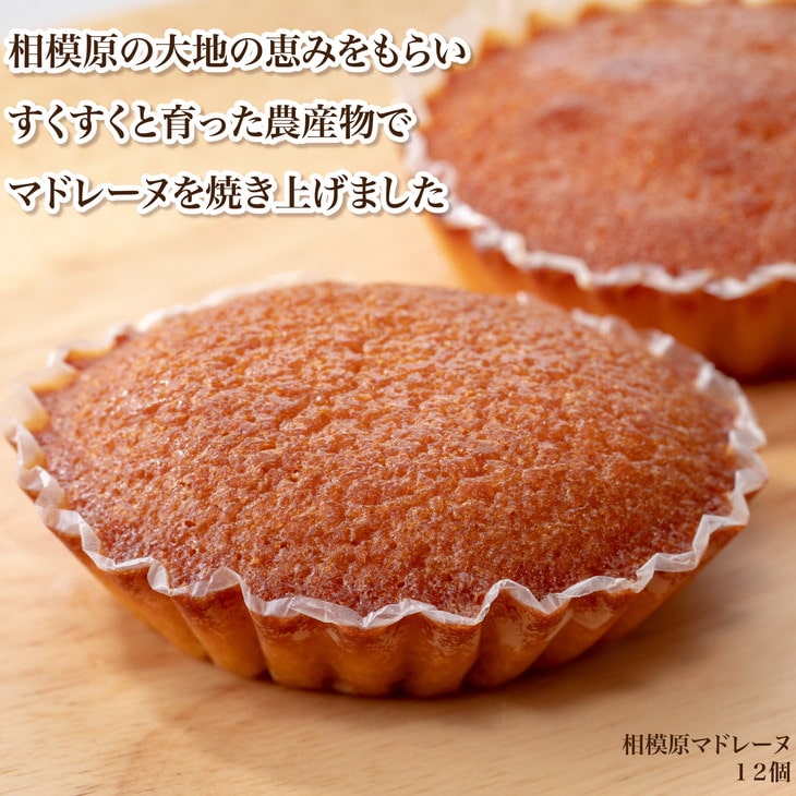 相模原マドレーヌ神奈川県相模原市10000菓子・スイーツ焼き菓子
