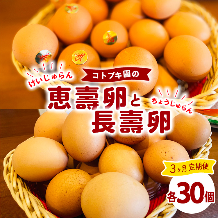 【定期便3ヶ月】当社自慢の卵 長壽卵 30個入り&恵壽卵 30個入り | 卵 たまご タマゴ ちょうじゅらん けいじゅらん 鶏卵 玉子 国産 定期便 3ヶ月 3か月 3カ月 先行予約 先行受付 ※離島への配