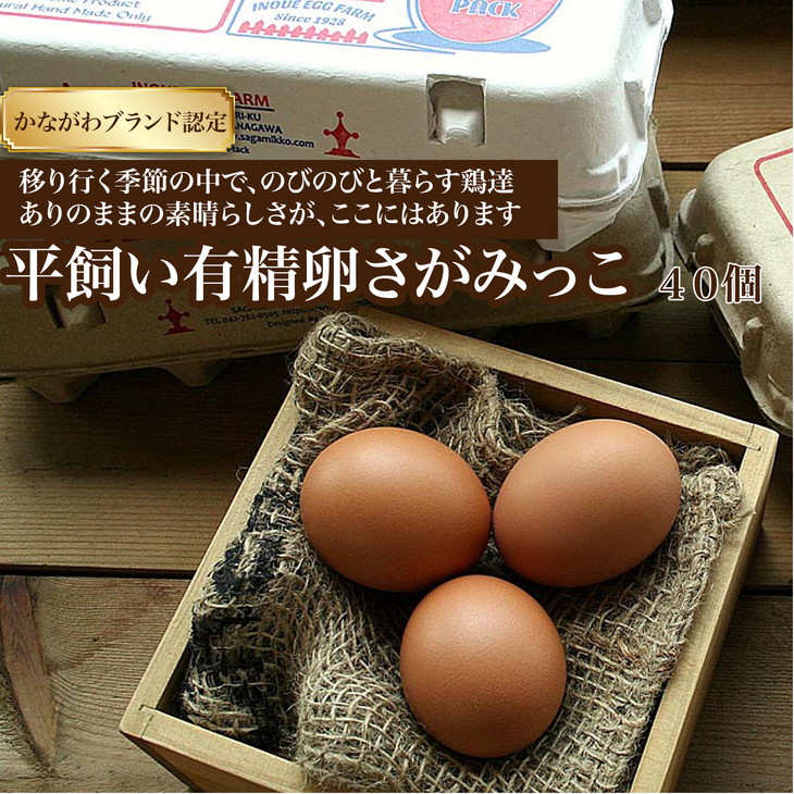 【かながわブランド認定】平飼い有精卵さがみっこ 40個入 ※離島への配送不可神奈川県相模原市10000卵・乳製品卵(鶏、烏骨鶏等)