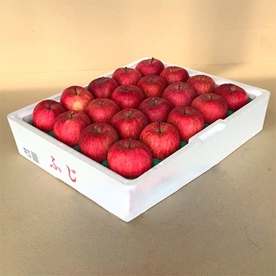 青森県産「ふじ」CA貯蔵りんご(冷蔵)5kg【配送不可地域:離島】【1073706】青森県青森市14000果物・フルーツりんご・梨