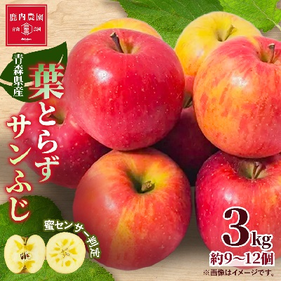 りんご 葉取らずふじ 蜜入判定 3kg (約9〜12個)【配送不可地域:離島】【1085335】青森県青森市12000果物・フルーツりんご・梨