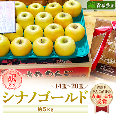 「シナノゴールド」5kg・訳あり家庭用りんご 青森市長賞受賞【配送不可地域:離島】【1106869】青森県青森市12000果物・フルーツりんご・梨