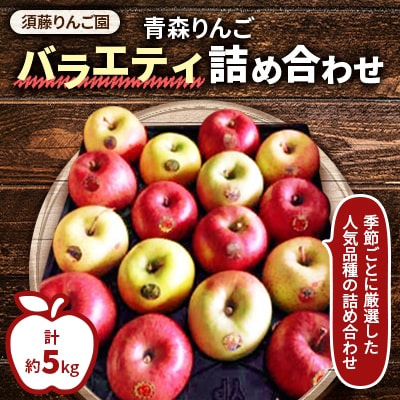 【令和7年11月中旬発送開始】青森りんご バラエティ詰め合わせ 約5kg(家庭用)【配送不可地域:離島】【1118135】青森県青森市13000果物・フルーツりんご・梨