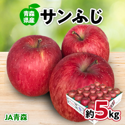 JA青森 青森県産りんご「サンふじ」約5kg【配送不可地域:離島】【1127895】青森県青森市15000果物・フルーツりんご・梨