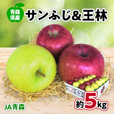 JA青森 青森県産りんご「サンふじ&王林詰合せ」約5kg【配送不可地域:離島】【1127896】青森県青森市11000果物・フルーツりんご・梨