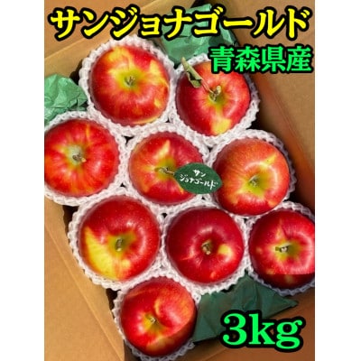 先行受付【青森市産・サンジョナゴールド】約3kg(家庭用)【1181965】青森県青森市10000果物・フルーツりんご・梨