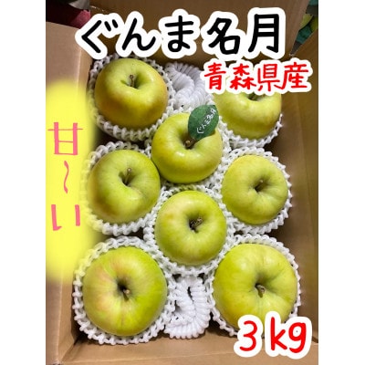 先行受付【青森市産・ぐんま名月】約3kg(家庭用)【1181966】青森県青森市10000果物・フルーツりんご・梨