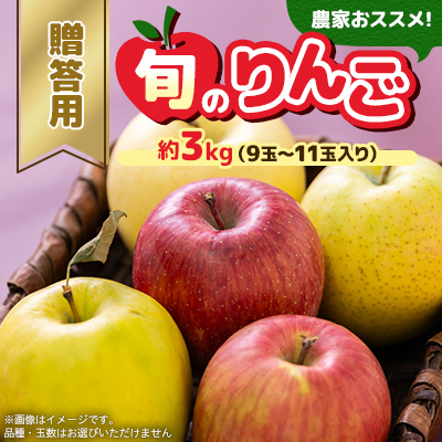 贈答用【2025年8月〜10月発送】農家おススメ!旬のりんご約3kg(9玉〜11玉入り)(冷蔵)【配送不可地域:離島】【1222610】青森県青森市14000果物・フルーツりんご・梨