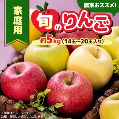 家庭用【2025年8月〜10月発送】農家おススメ!旬のりんご約5kg(14玉〜20玉入り)(冷蔵)【配送不可地域:離島】【1222616】青森県青森市16000果物・フルーツりんご・梨