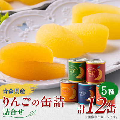  ʋl@5(v12)Zbgy1272452zXXs15000َqEXC[c̑ mَq