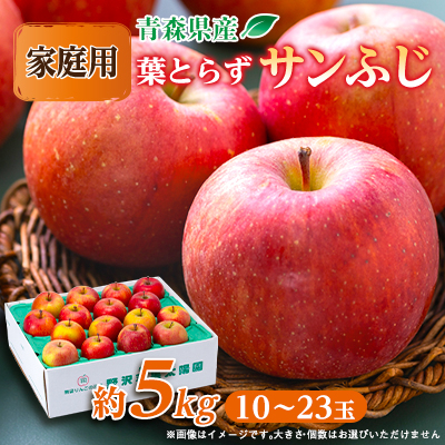 青森市産りんご「葉取らずサンふじ」約5kg(家庭用)【配送不可地域:離島・沖縄】【1272641】青森県青森市11000果物・フルーツりんご・梨