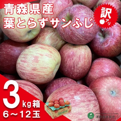 令和6年1月中旬より発送 訳アリ 葉とらずサンふじ3キロ箱 6〜12玉 津軽産直組合直送!【配送不可地域:離島】【1288121】青森県青森市8000果物・フルーツりんご・梨