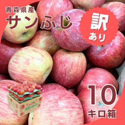 【令和7年1月下旬頃発送】産地直送 青森県産 訳ありサンふじ10キロ箱 26〜46玉 青森県産りんご【配送不可地域:離島・沖縄】【1288124】青森県青森市21000果物・フルーツりんご・梨
