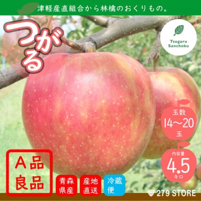 9月初旬頃発送 つがる A品 5キロ箱 4.5kg 14〜20玉 津軽りんご 産地直送 冷蔵【配送不可地域:離島】【1290001】青森県青森市13000果物・フルーツりんご・梨