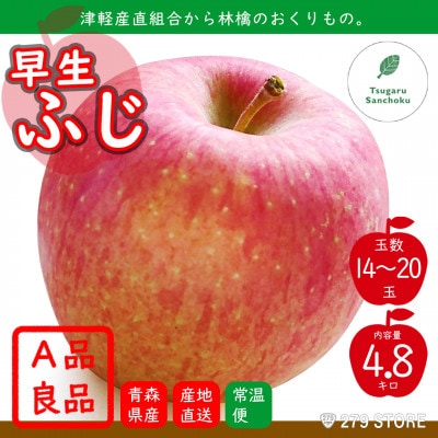 10月初旬頃発送 早生ふじ A品 5キロ箱 4.8kg 14〜20玉 津軽りんご 産地直送【配送不可地域:離島】【1290120】青森県青森市13000果物・フルーツりんご・梨