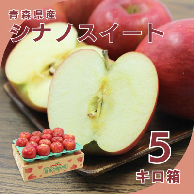 【10月下旬より発送開始】産地直送 青森県産シナノスイート 5キロ箱 10〜23玉 青森県産りんご【配送不可地域:離島】【1290128】青森県青森市13000果物・フルーツりんご・梨