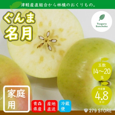 10月下旬頃発送 ぐんま名月 家庭用 5キロ箱 4.8kg 14〜20玉 津軽りんご 産地直送【配送不可地域:離島】【1290169】青森県青森市11000果物・フルーツりんご・梨
