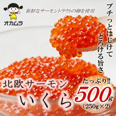オカムラ食品工業の北欧サーモンいくら 500g(250g×2)【配送不可地域:離島】【1315624】青森県青森市18000魚介・海産物いくら