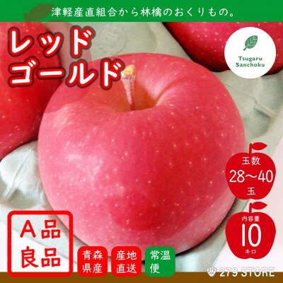 10月下旬頃発送 レッドゴールド A品 10キロ箱 10kg 28〜40玉 津軽りんご 産地直送【配送不可地域:離島】【1324412】青森県青森市20000果物・フルーツりんご・梨