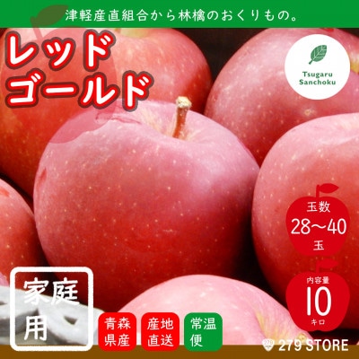 10月下旬頃発送 レッドゴールド 家庭用 10キロ箱 10kg 28〜40玉 津軽りんご 産地直送【配送不可地域:離島】【1324536】青森県青森市18000果物・フルーツりんご・梨
