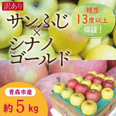 【CAりんご】糖度13度以上保証サンふじ×シナノゴールド約5kg訳あり家庭用【配送不可地域:離島・沖縄】【1392280】青森県青森市15000果物・フルーツりんご・梨