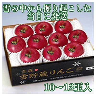 【2026年3月発】希少なりんご! 青森雪貯蔵りんご(サンふじ) 3kg箱【離島・沖縄配送不可】【配送不可地域:離島・沖縄】【1423601】青森県青森市15000果物・フルーツりんご・梨