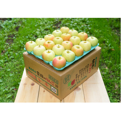 【青森市産】糖度12度以上保証!訳ありトキ家庭用約10kg【配送不可地域:離島・沖縄】【1435987】青森県青森市14000果物・フルーツりんご・梨